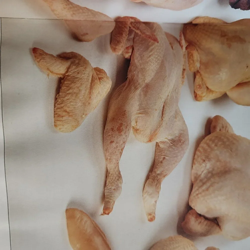 The Great Chicken Cookbook Hardcover Judith Ferguson